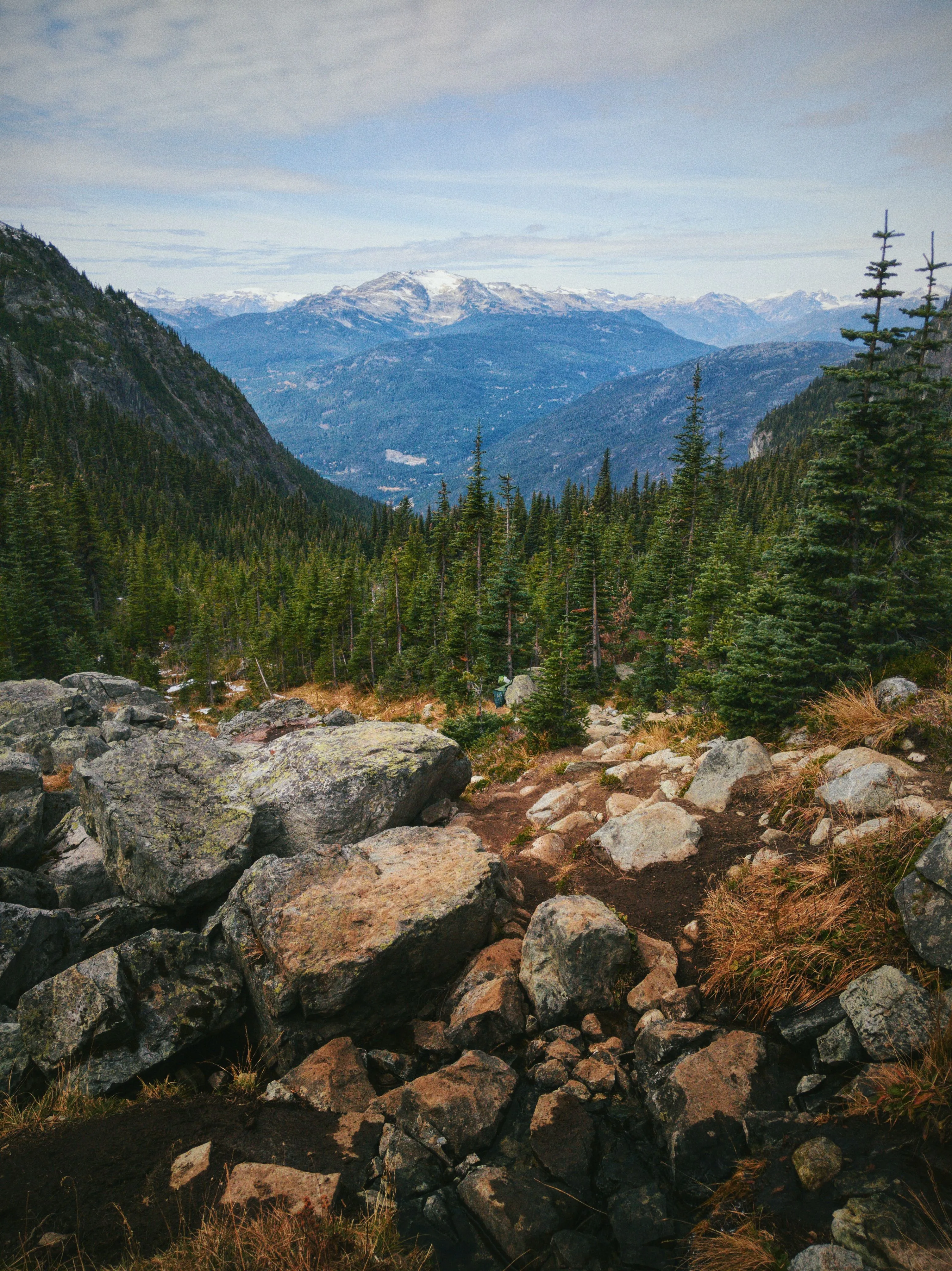 A boulder-strewn mountain overlook with evergreen forest and snow-capped peaks beyond