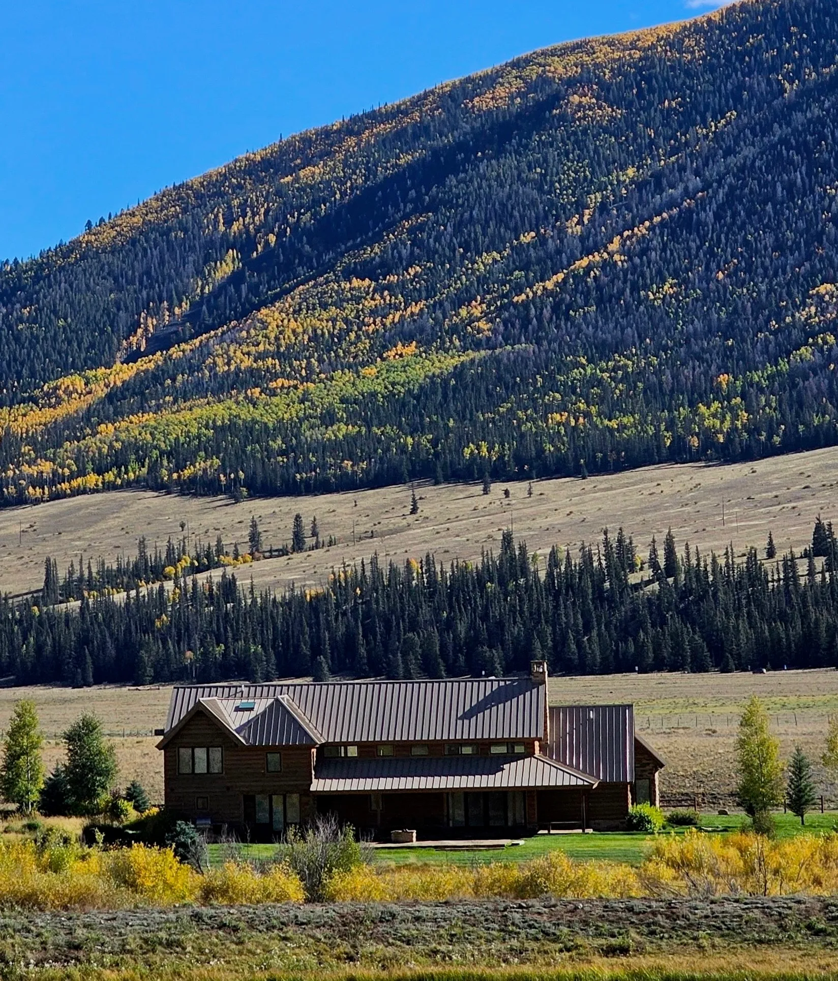 A timber home sitting in an open golden meadow below an aspen-covered hillside