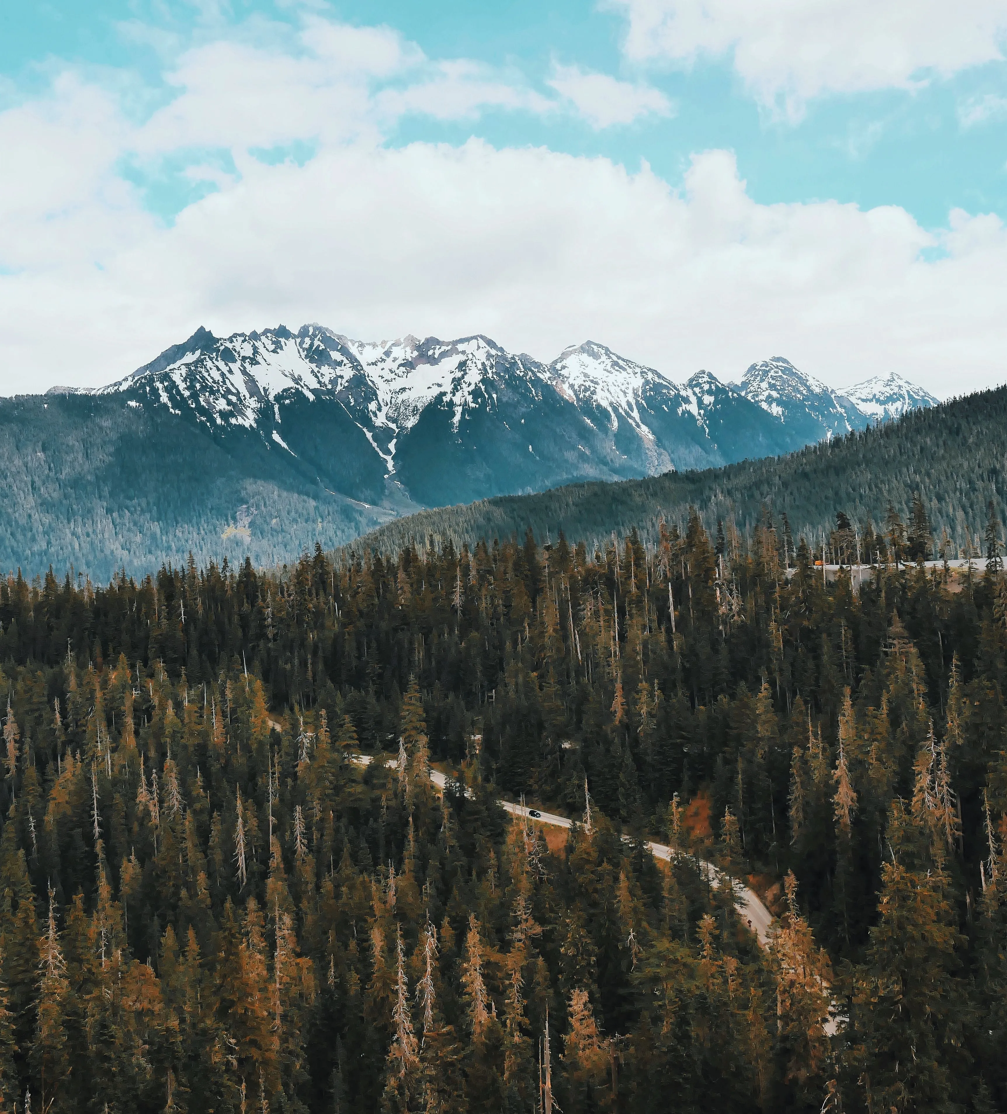 A quiet paved road winding down a forested hillside toward snow-capped mountains in the distance