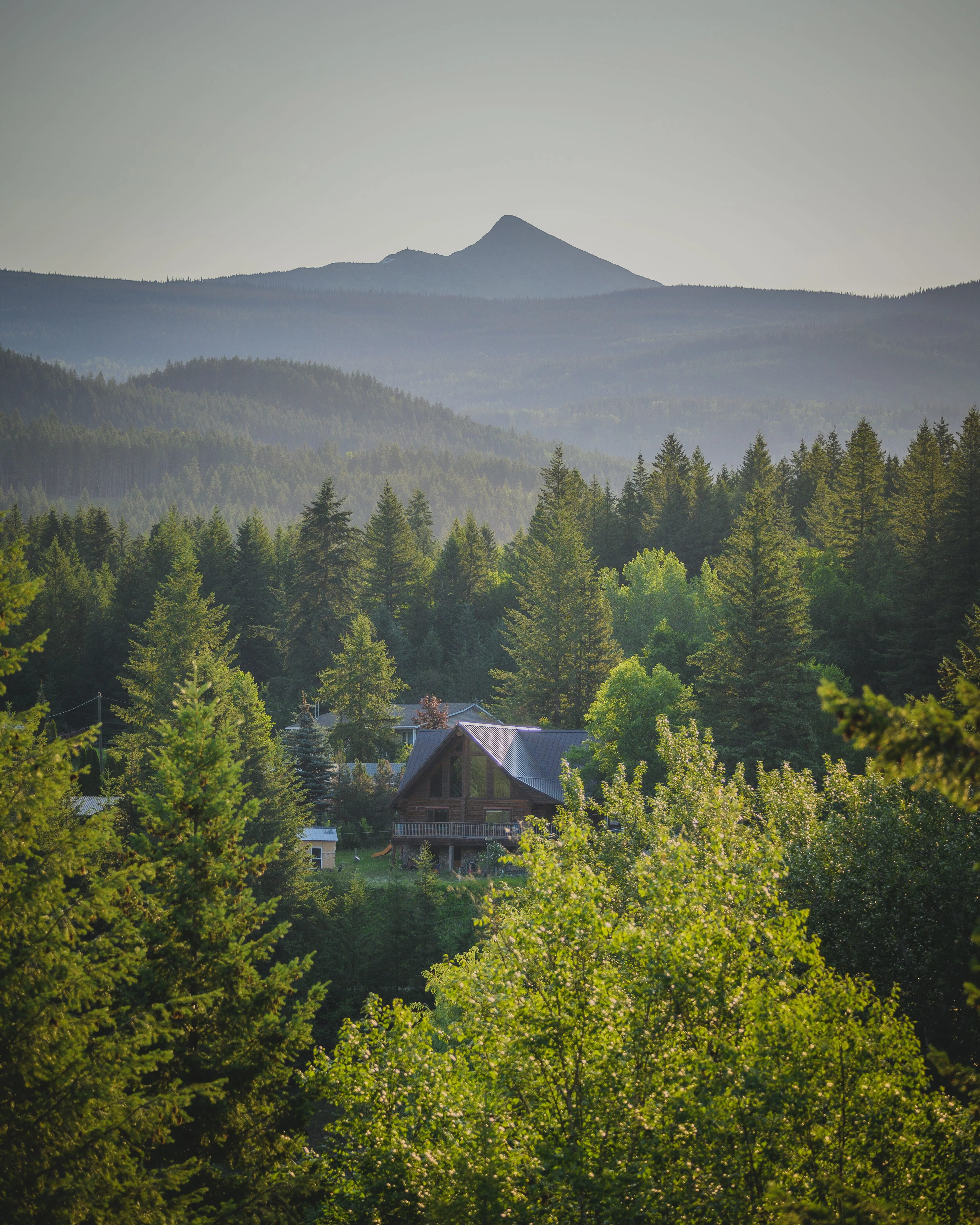 A timber and stone home standing among tall evergreens with forested mountains behind it