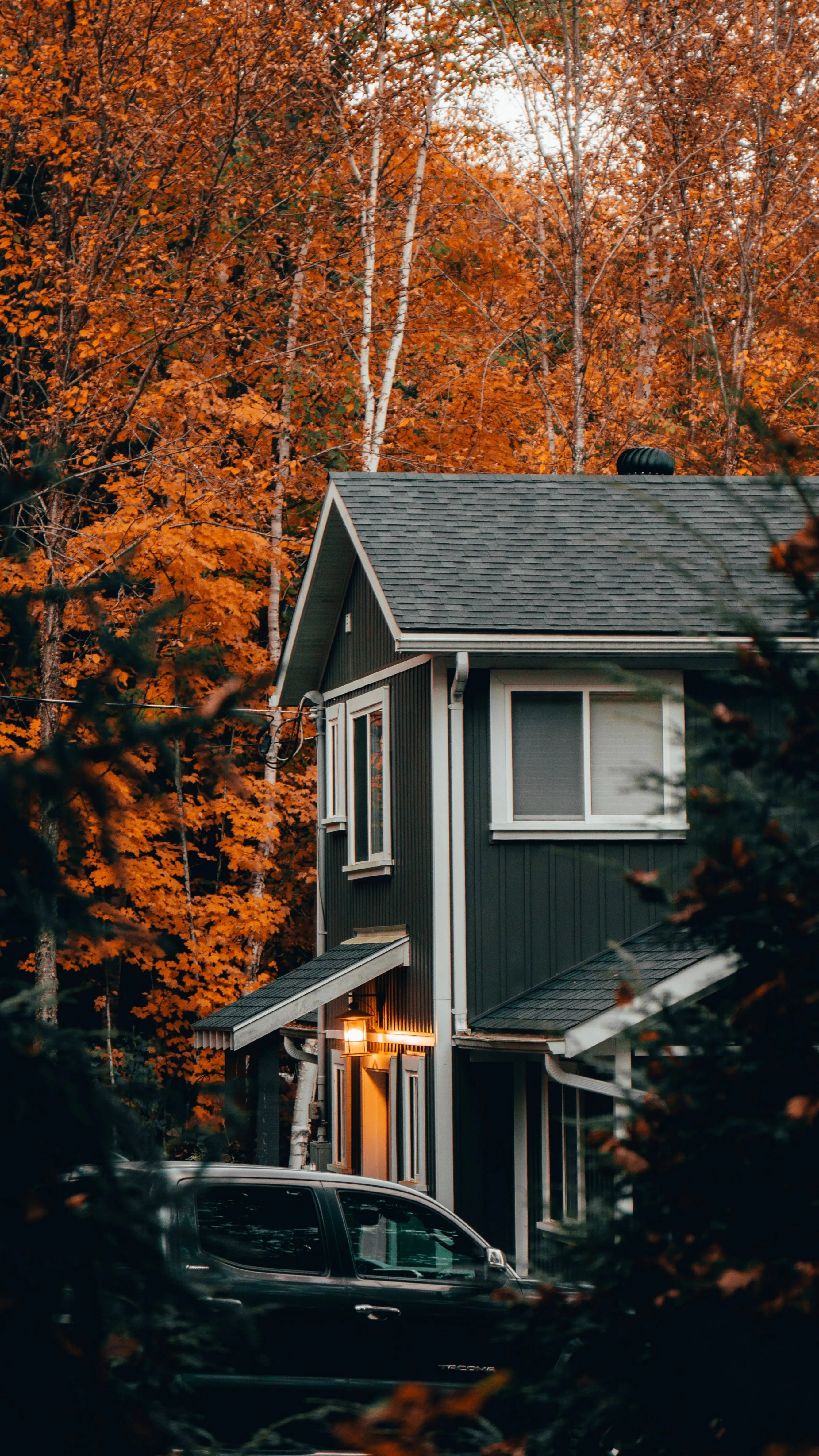 A grey two-storey house half hidden among trees in orange autumn leaves, a light on by the door