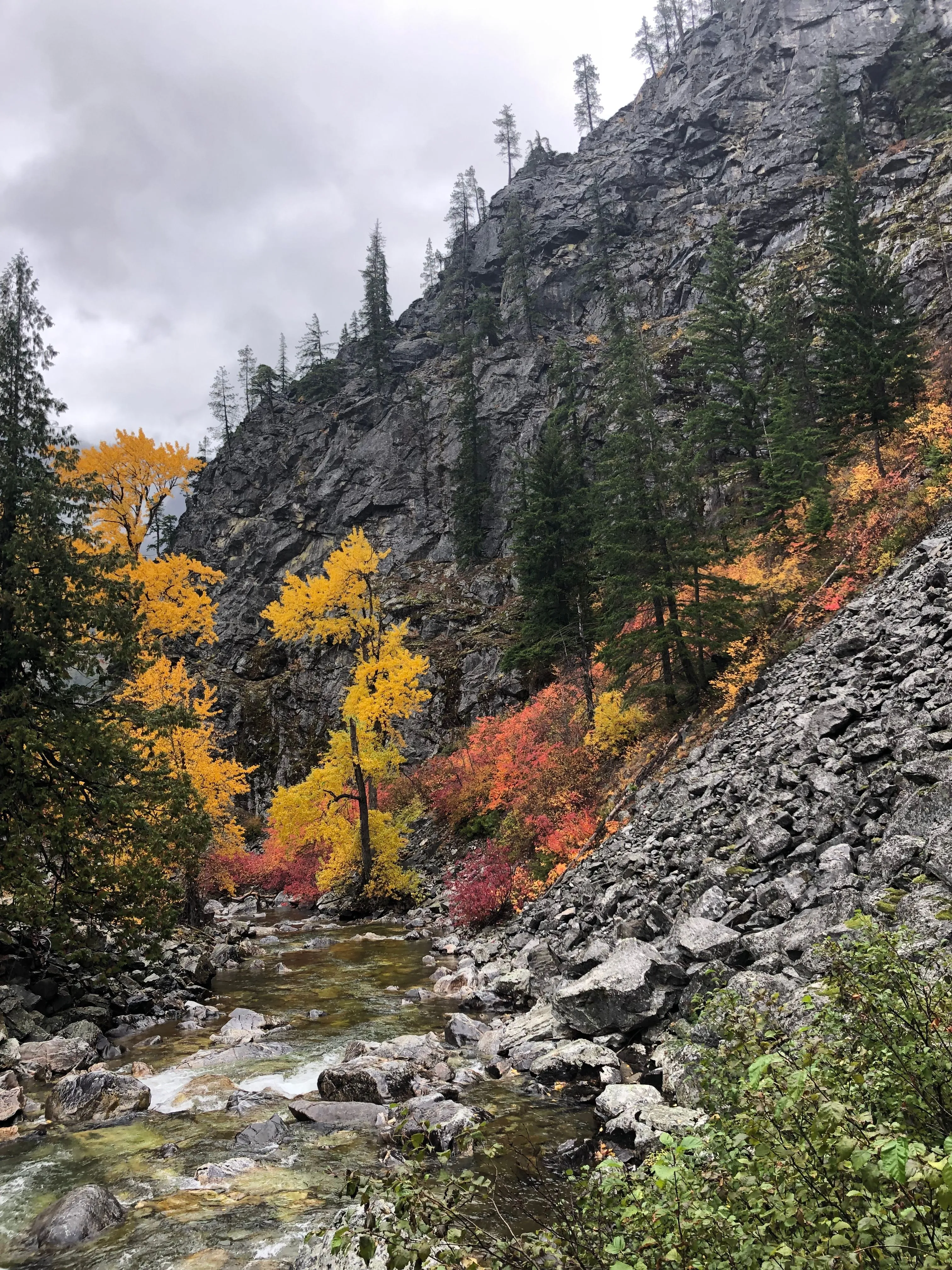 A rushing mountain creek running through a rocky canyon lined with autumn-colored shrubs and evergreens
