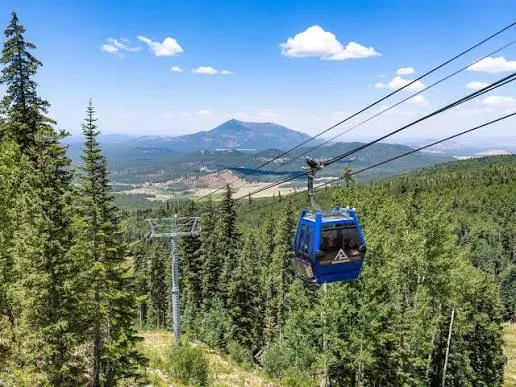 A gondola cabin climbing above evergreen forest toward a distant peak