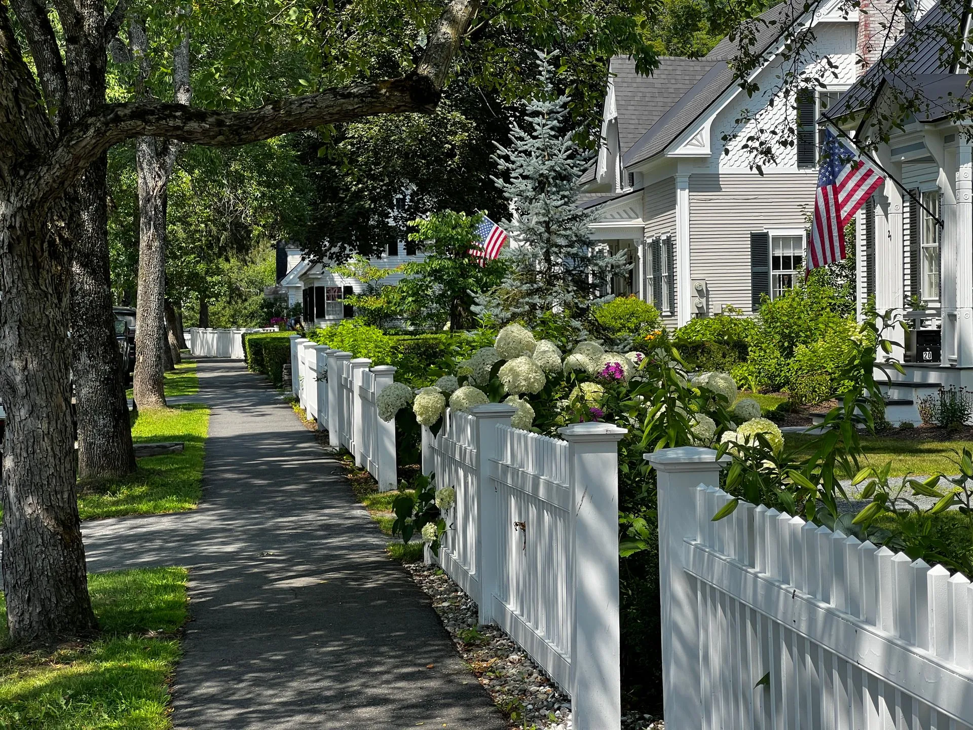 A tree-shaded sidewalk running past a white picket fence and hydrangeas toward a grey house with a front porch and a flag